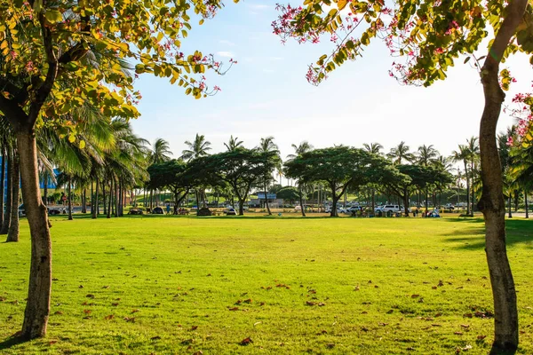 Park Szene Einem Sommernachmittag Der Nähe Der Innenstadt Von Honolulu — Stockfoto