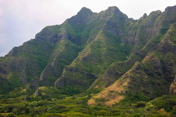 夏威夷瓦胡岛的库劳山脉陡峭的山腰 — 图库照片