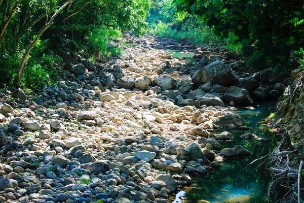 Dry Riverbed Waimea Valley Oahu Hawaii — Stock Photo, Image