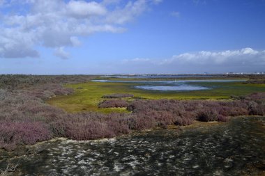 Santa Gilla havuzları
