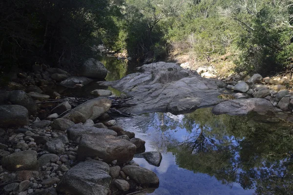 View Palaceris River — Stock Photo, Image