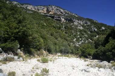 Codula Sisine görünümünü