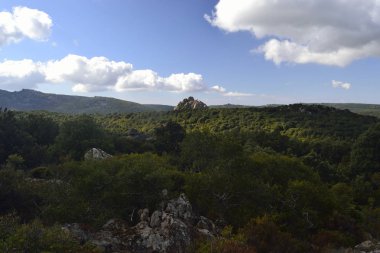 Görünüm Perda Asube PARI Peak