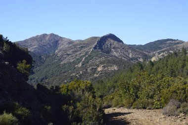 Monte tepe Murumannu