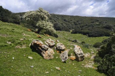 Baccu Cascitta görünümünü