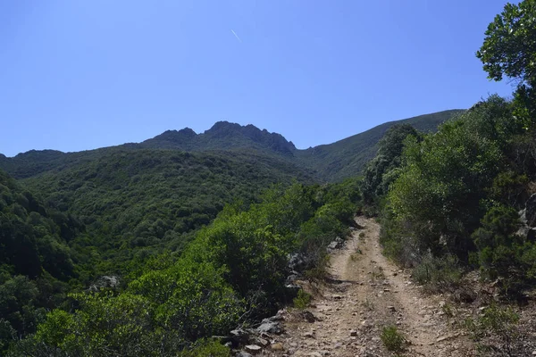 Ścieżka Monte Lattias — Zdjęcie stockowe