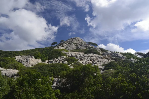 Κορυφή Της Martinedda Στο Δάσος Marganai — Φωτογραφία Αρχείου