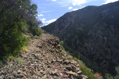 Araştırma yol yolu ile dell'Argento