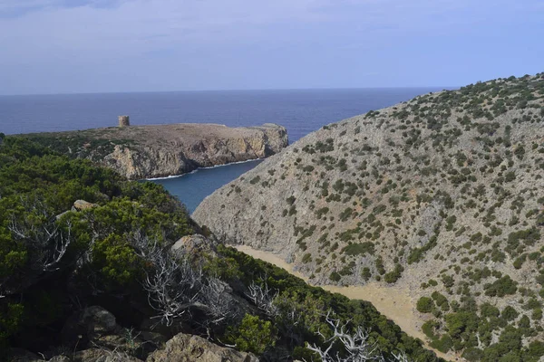 Bay Cala Domestica — Stock Photo, Image