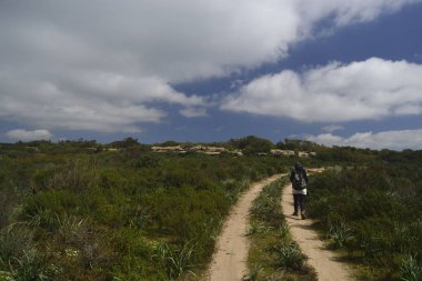 Planu Mudega 'da Wlaking