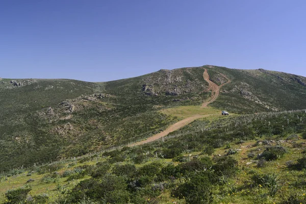 Bruncu Niu Crobu manzarası