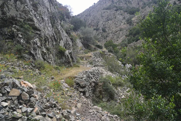 Camino Camino Siver — Foto de Stock