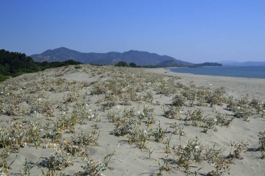 Feraxi plajı manzarası