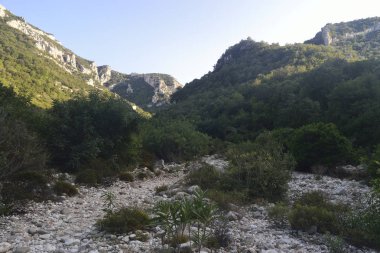 Codula Sisine görünümünü