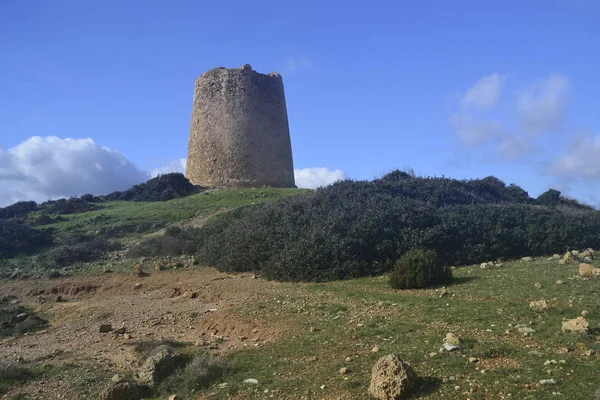 Piscinn Kulesinin Görünümü — Stok fotoğraf