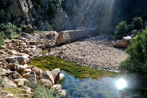 Rio Palaceris Kilátás — Stock Fotó