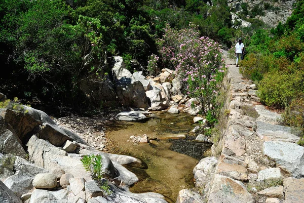 Rio Palacaris Manzarası — Stok fotoğraf