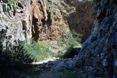 Bidda Mores Kanyonu Manzarası