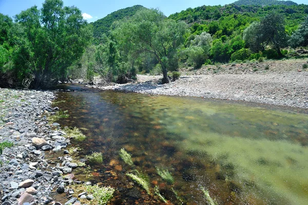 Vista Rio Ollastu — Fotografia de Stock