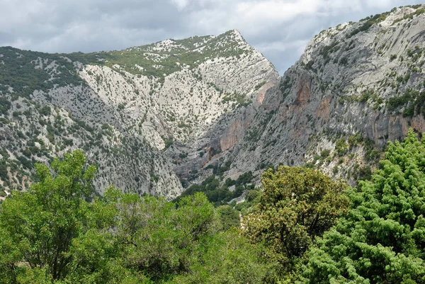View Gorropu Canyon Pischina Urtaddala — Stock Photo, Image