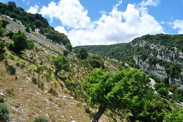 View Canyon Flumineddu — Stock Photo, Image