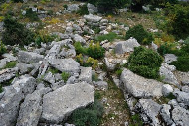 Devler mezar Sa Carcara
