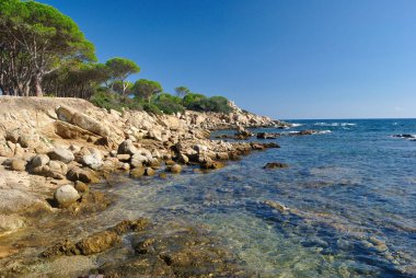 Coast of Capo Ferrato clipart