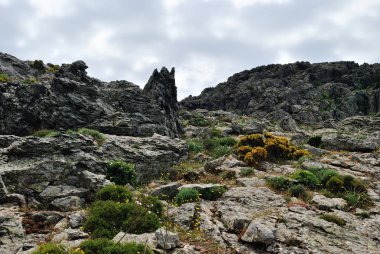 Monte Tratzalis görünümünü