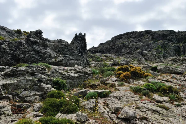 Monte Tratzalis görünümünü