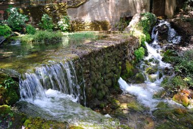 Pubusinu su kaynağı görünümü