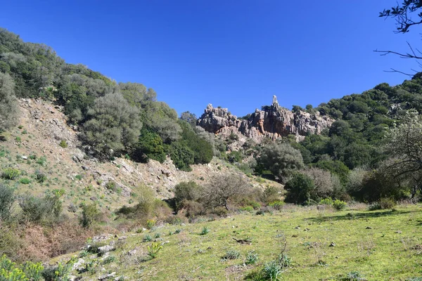 Över Tuviois Forest — Stockfoto