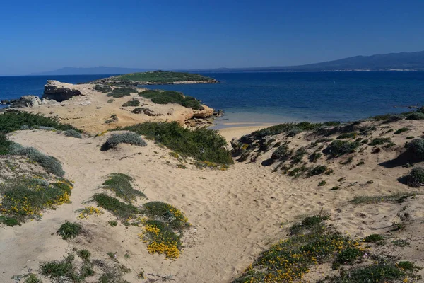 Pallosu Plajı Manzarası — Stok fotoğraf