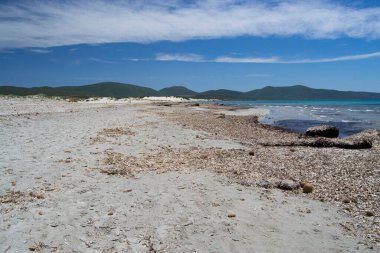 Porto Pino plajı manzarası