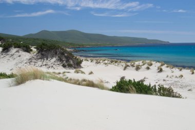 Arenas Biancas plajı ve kumullarının manzarası
