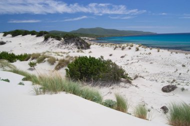 Arenas Biancas plajı ve kumullarının manzarası