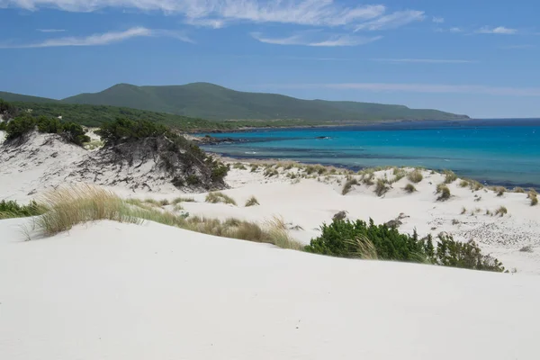 View of Arenas Biancas beach and his dunes