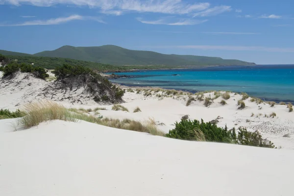 Arenas Biancas海滩及其沙丘景观 免版税图库图片