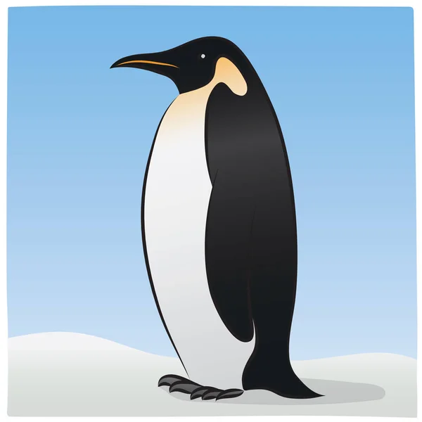 Dibujo Vectorial Lindo Pingüino — Archivo Imágenes Vectoriales