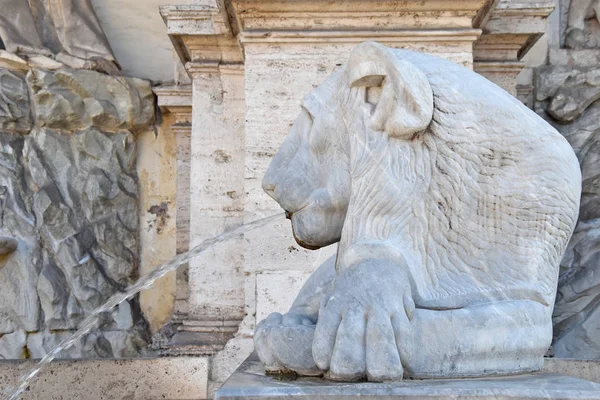 Lion Fontaine Acqua Felice Aussi Une Fontaine Moïse Honneur Pape — Photo