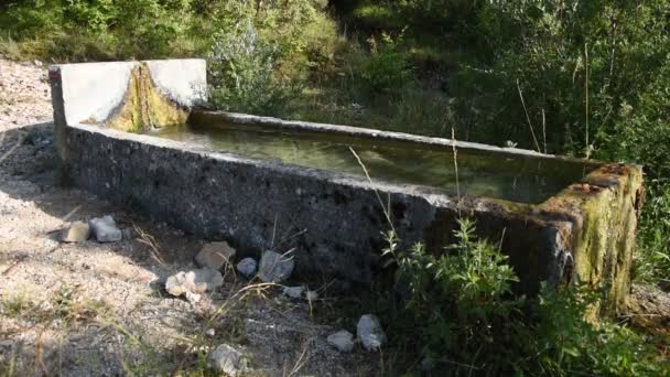 Berg fontein voor dieren om te drinken — Stockvideo