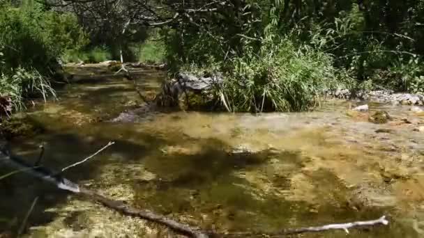 Mała rzeka w parku Monti Simbruini, Vallepietra, Włochy — Wideo stockowe
