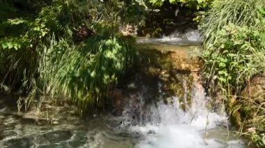 Monti Simbruini Park'ta küçük nehir, Vallepietra, İtalya