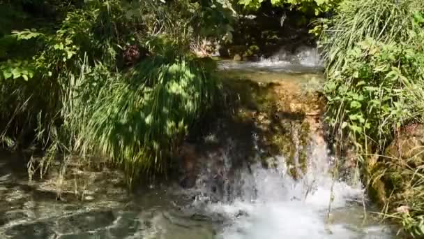 Mała rzeka w parku Monti Simbruini, Vallepietra, Włochy — Wideo stockowe