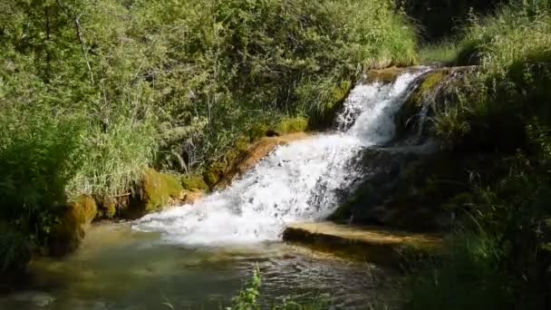 Kleine rivier in het Monti Simbruini Park, Vallepietra, Italië — Stockvideo