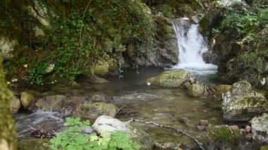 Monti Simbruini Park'ta küçük nehir, Vallepietra, İtalya