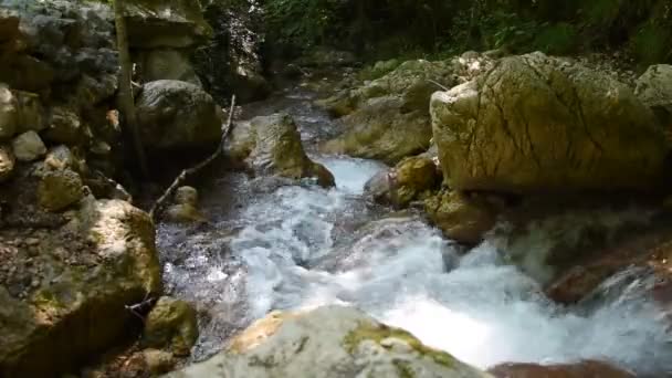 Petite Rivière Dans Parc Monti Simbruini Vallepietra Italie — Video