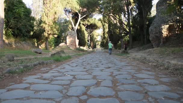 Vista de Appia Antigua carretera romana antigua — Vídeo de stock