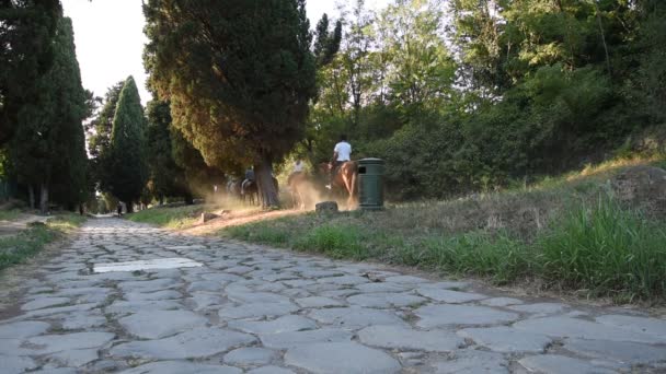 Θέα του αρχαίου αρχαίου ρωμαϊκού δρόμου Appia — Αρχείο Βίντεο
