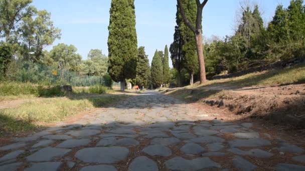 Вигляд на Appia стародавні стародавні Римські дороги — стокове відео