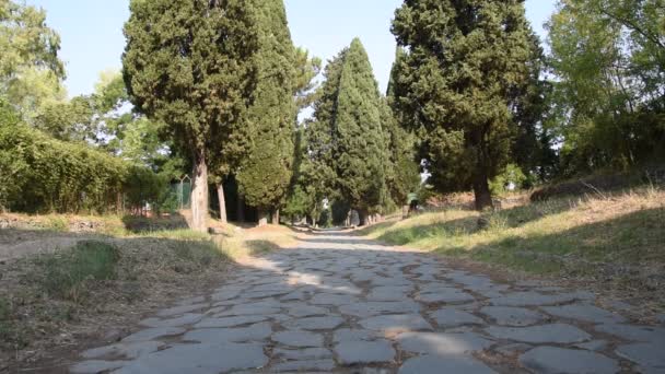 Vista de Appia Antigua carretera romana antigua — Vídeo de stock